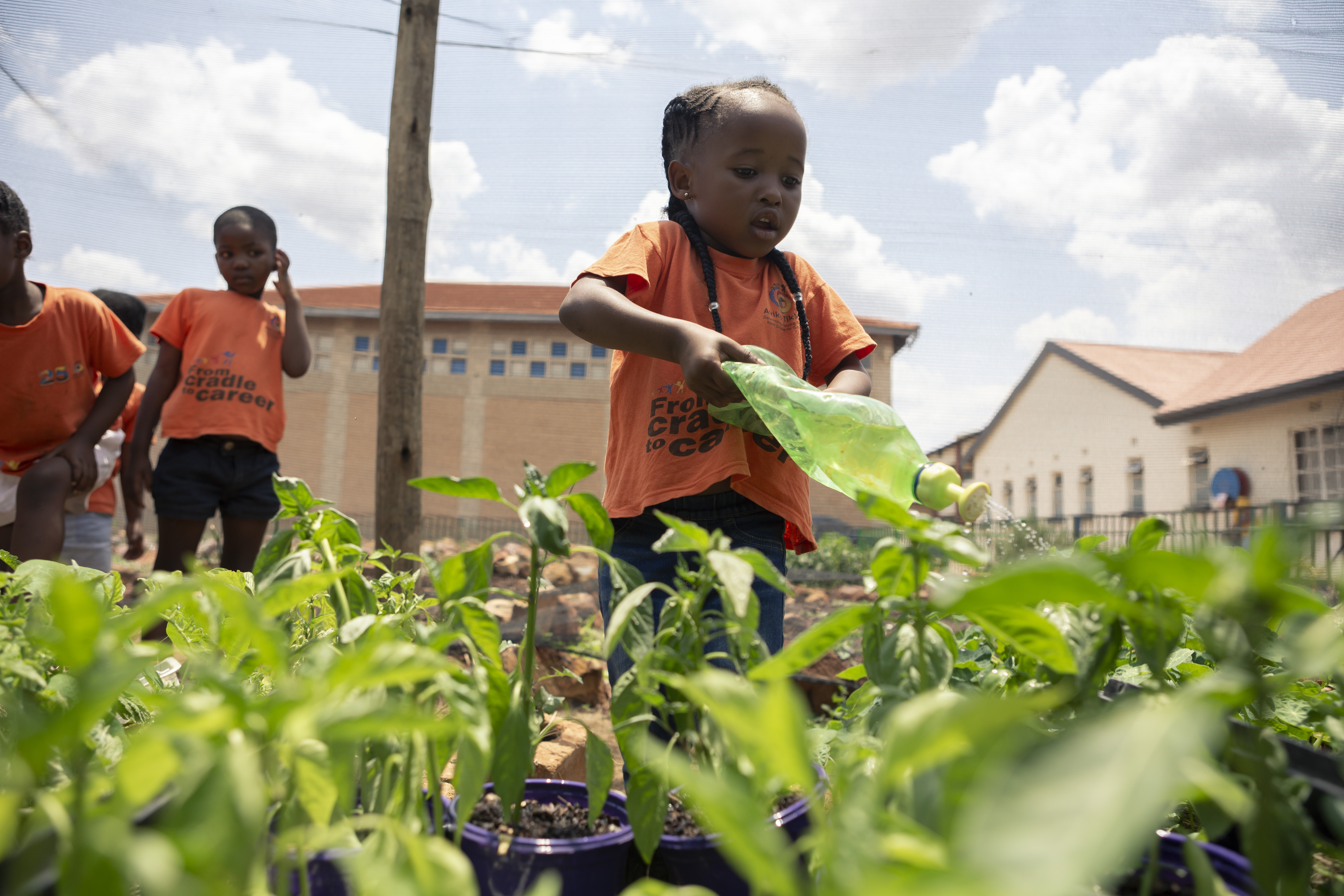 Young agripreneurs tending an Afrika Tikkun food garden